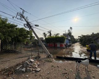 Caen 22 postes de energía eléctrica y 60 árboles durante tormenta en San Francisco Ixhuatán
