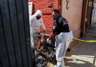 Rescata Fiscalía 14 animales de compañía en situación de maltrato en Oaxaca de Juárez