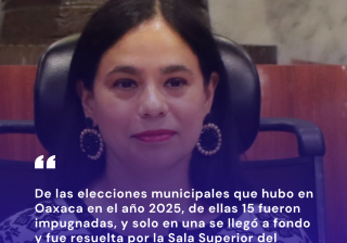 De las elecciones municipales en Oaxaca en 2025, en 15 se impugnaron