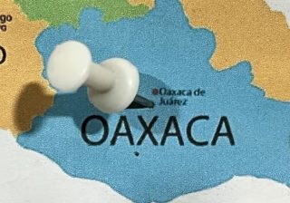 El Estado es omiso y cómplice en la desaparición de personas indígenas en México: Voces del territorio
