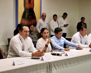 Fernanda Chávez Cruz, nueva titular del IEEPO