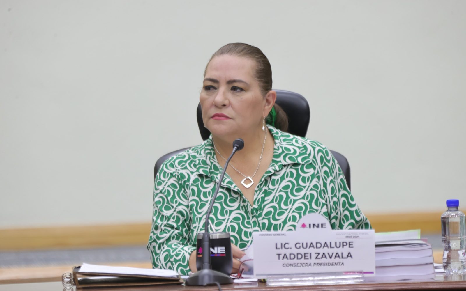 Renuncia Taddei a la Presidencia del INE
