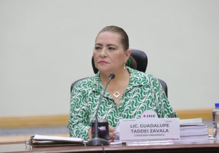 Renuncia Taddei a la Presidencia del INE