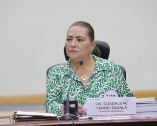 Renuncia Taddei a la Presidencia del INE