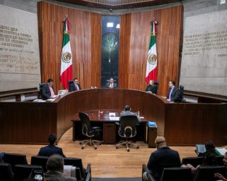 Ordenan al INE revisar la accesibilidad e igualdad en los trámites de adultos mayores para obtener la credencial para votar